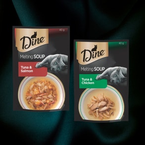 dine melting soup